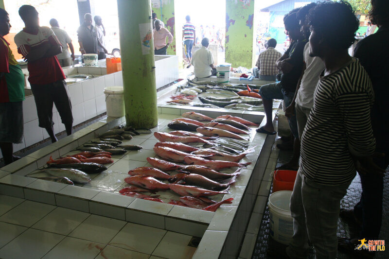 Malé Fish Market