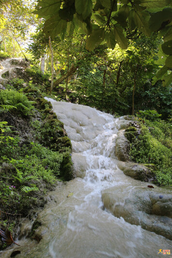 The unique Bua Tong Waterfalls