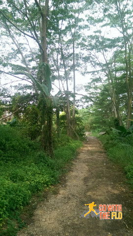 The path leading up to the Istana