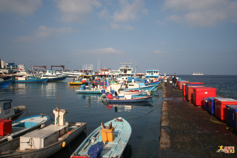 Harbor with all the fishing boats