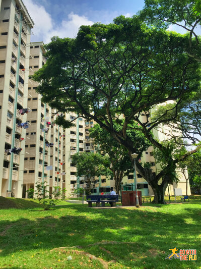 Kallang Riverside Park to Bishan-Ang Mo Kio Park