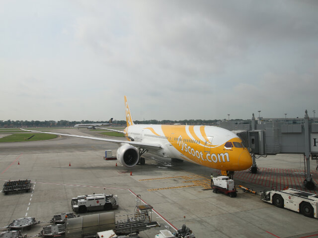 Scoot 787 at Changi Airport