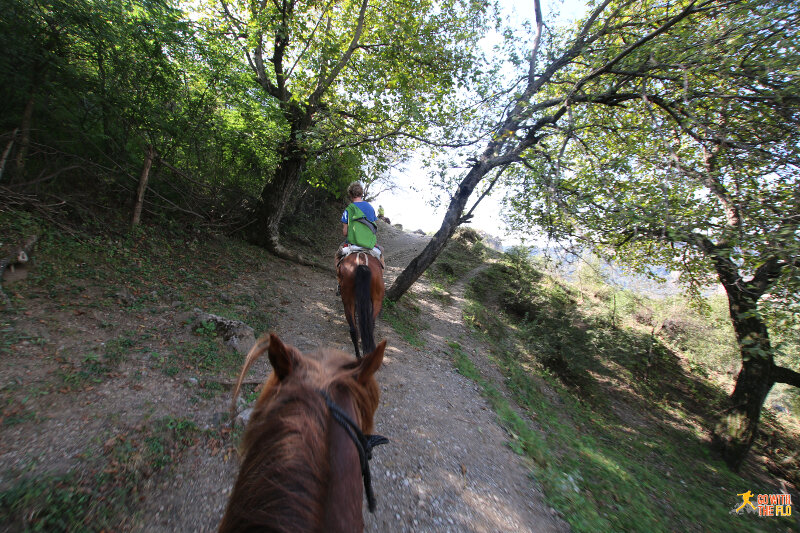 Horseback riding