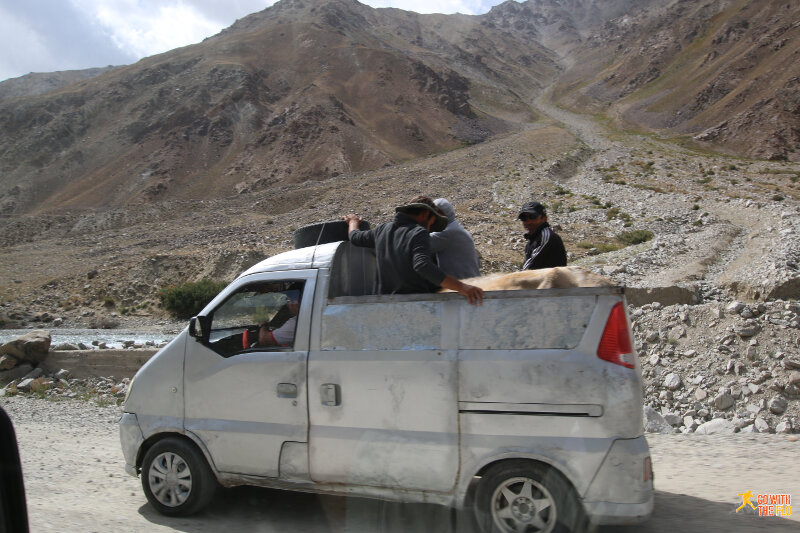 Public transport for people and livestock on the M41 Pamir Highway