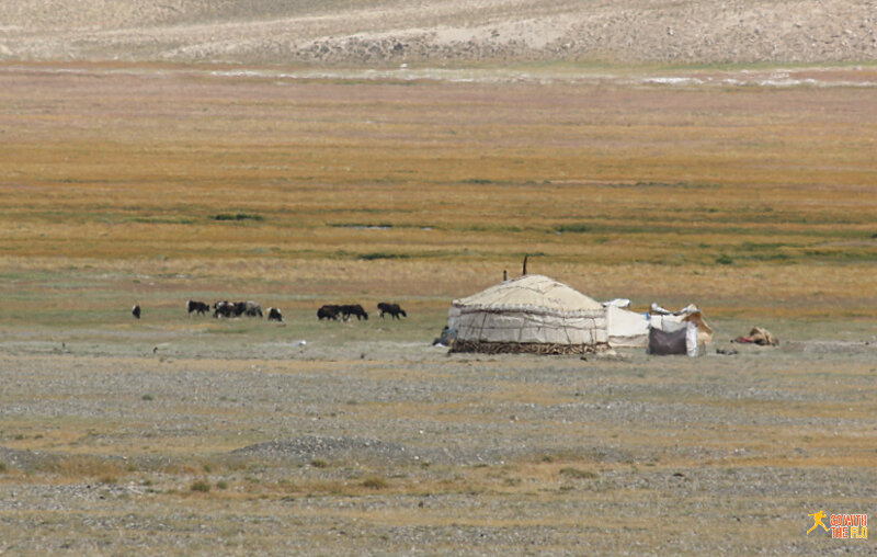 Yurt along the M41