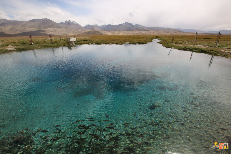 A very clear "pond" with fish along the M41. We were offered fish for lunch in Alichur but didn't trust it... turns out, it would have probably been very fresh fish