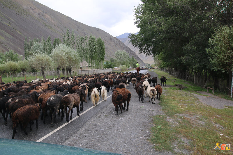 We were slowed down by a few road blocks