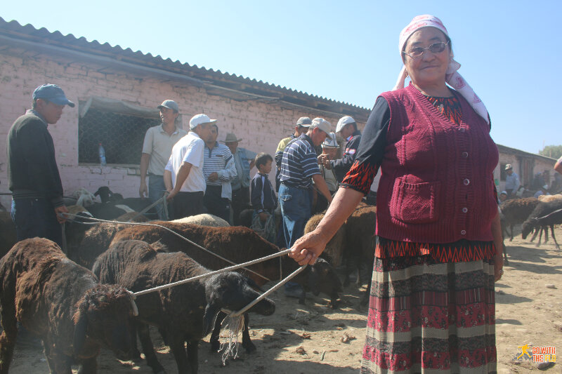 Local with her sheep