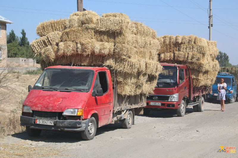 Supply trucks