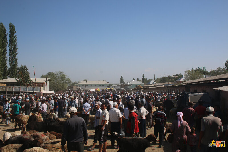 Overview of the Osh's Sunday animal bazaar