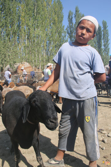 Local boy and his sheep