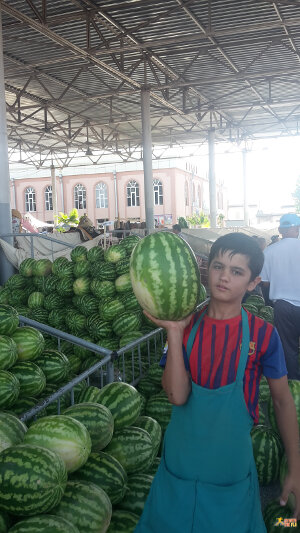 It is water melon season in Uzbekistan!
