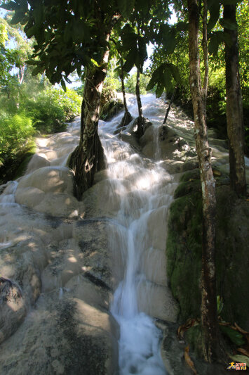 The unique Bua Tong Waterfalls