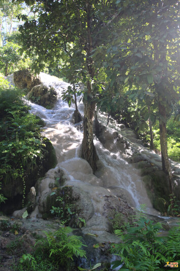 The unique Bua Tong Waterfalls