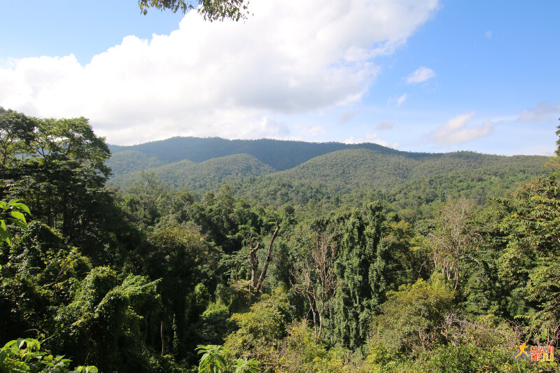 View from the parking lot of Bua Tong Waterfalls