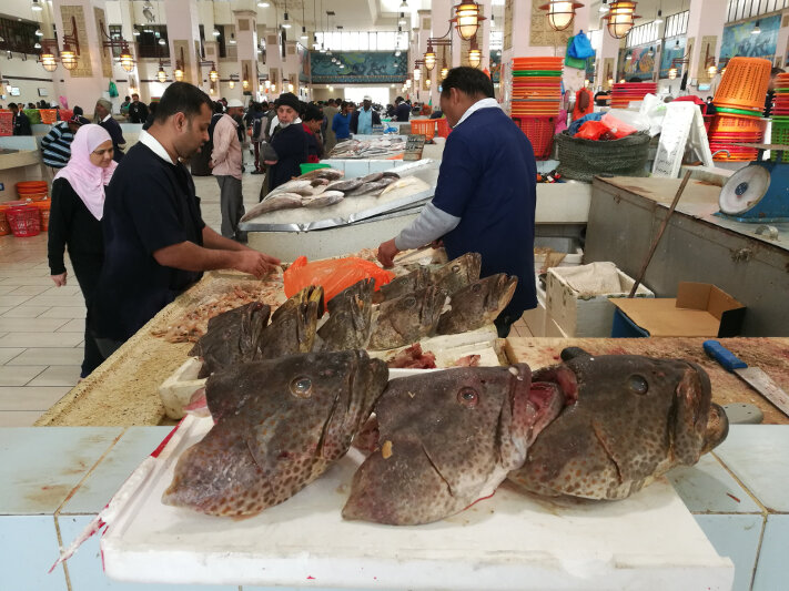 Kuwait Fish Market