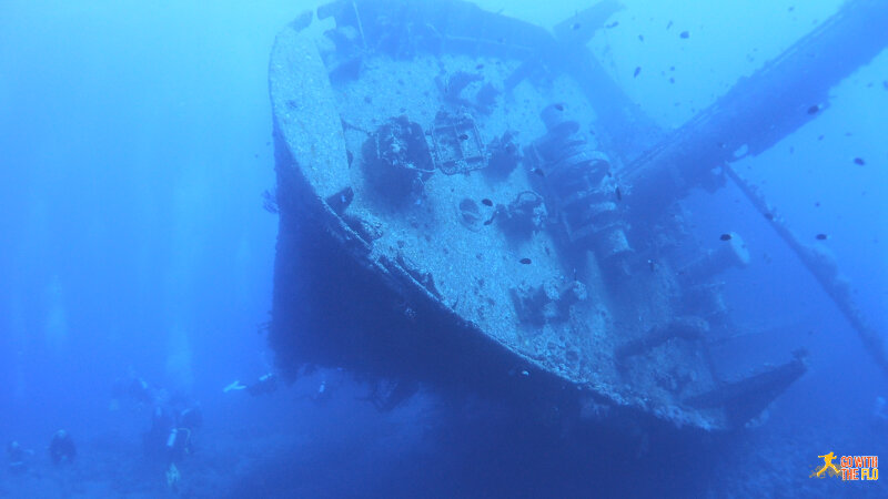 Aqaba Diving