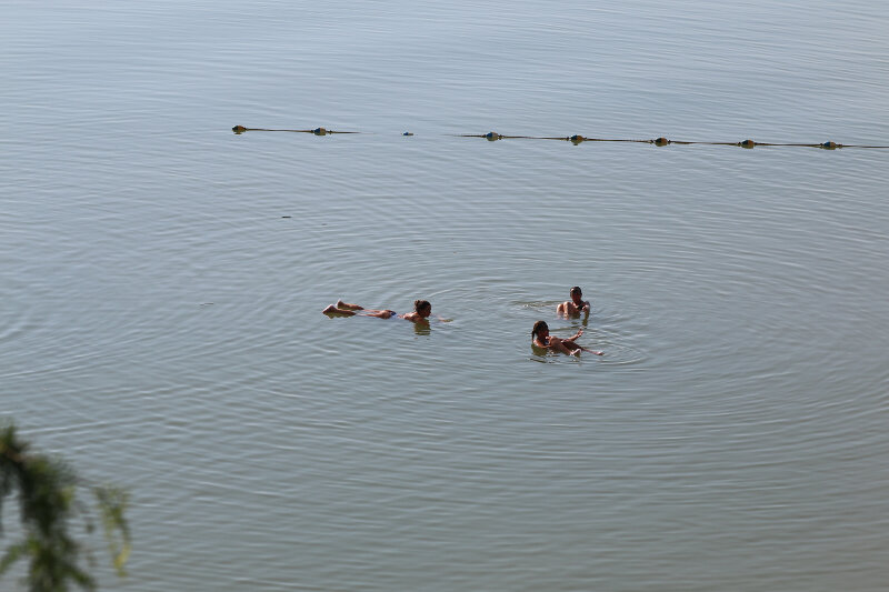 Swimming in the Dead Sea