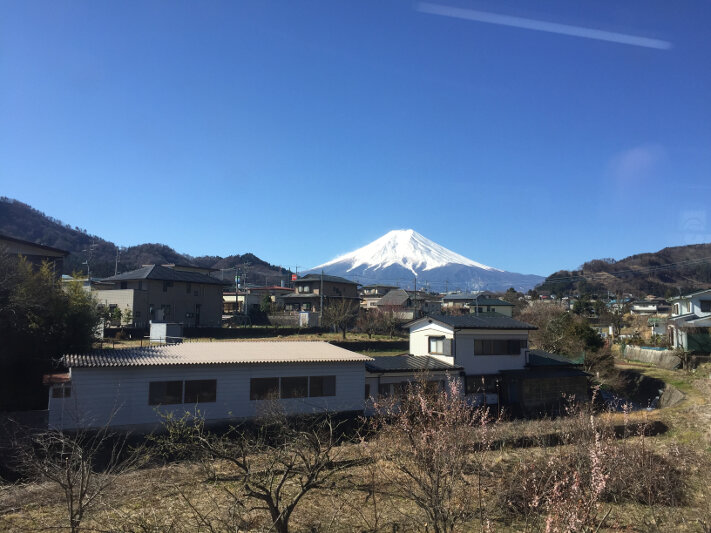 Mount Fuji