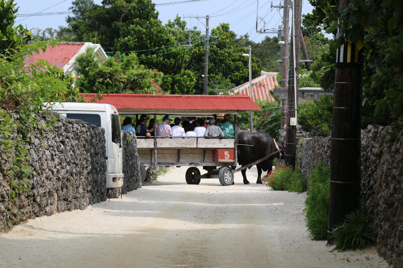 Tourist attraction