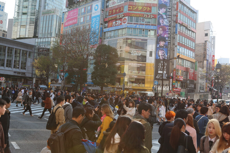 The always busy Shibuya Crossing