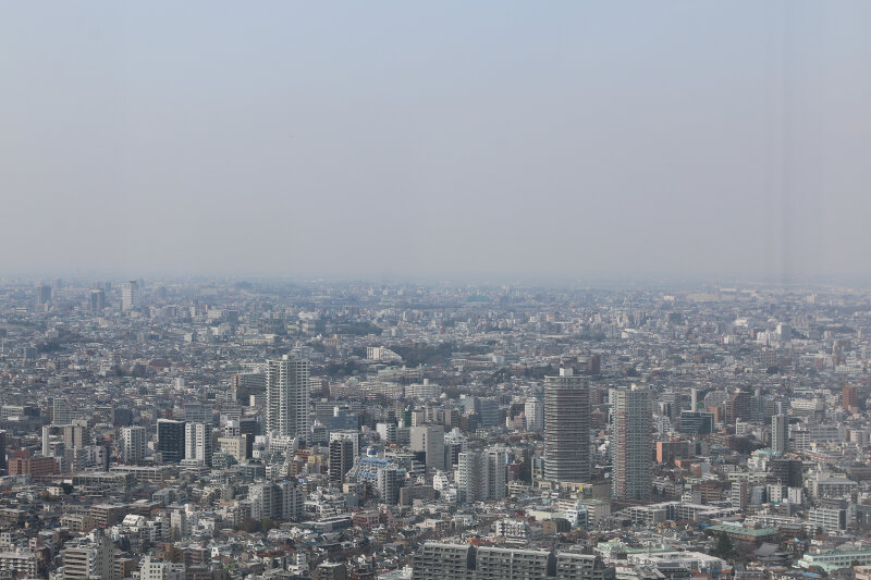 Views from Shinjuku Nomura Building