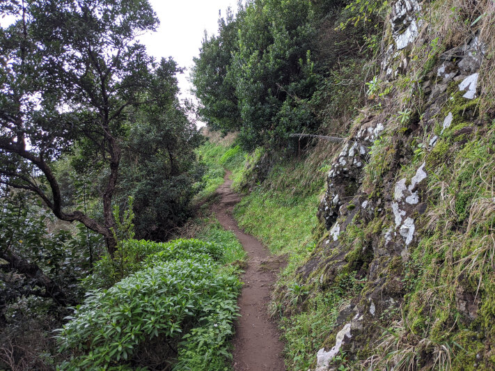 Single trail for endless kilometers